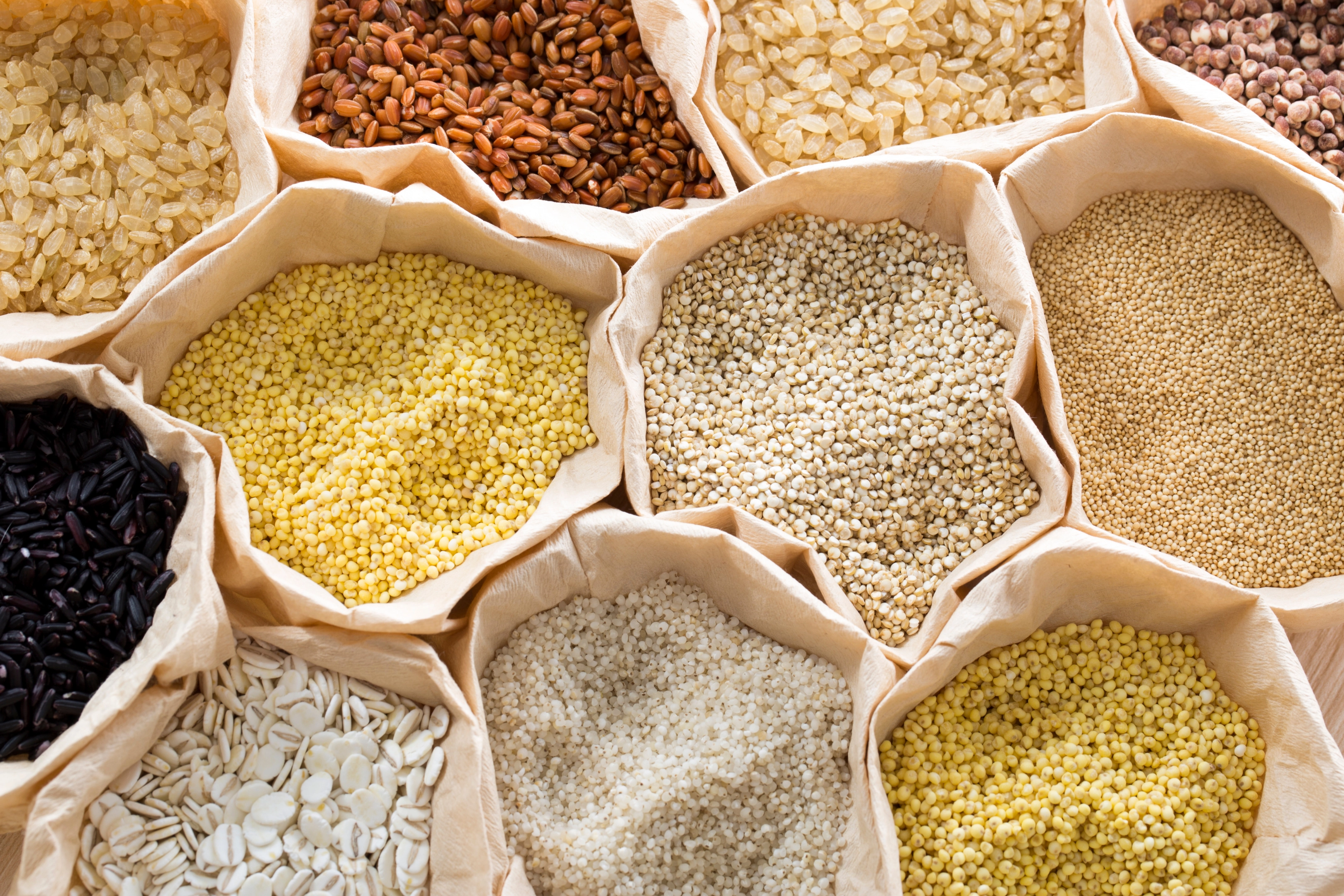 Indian Millets