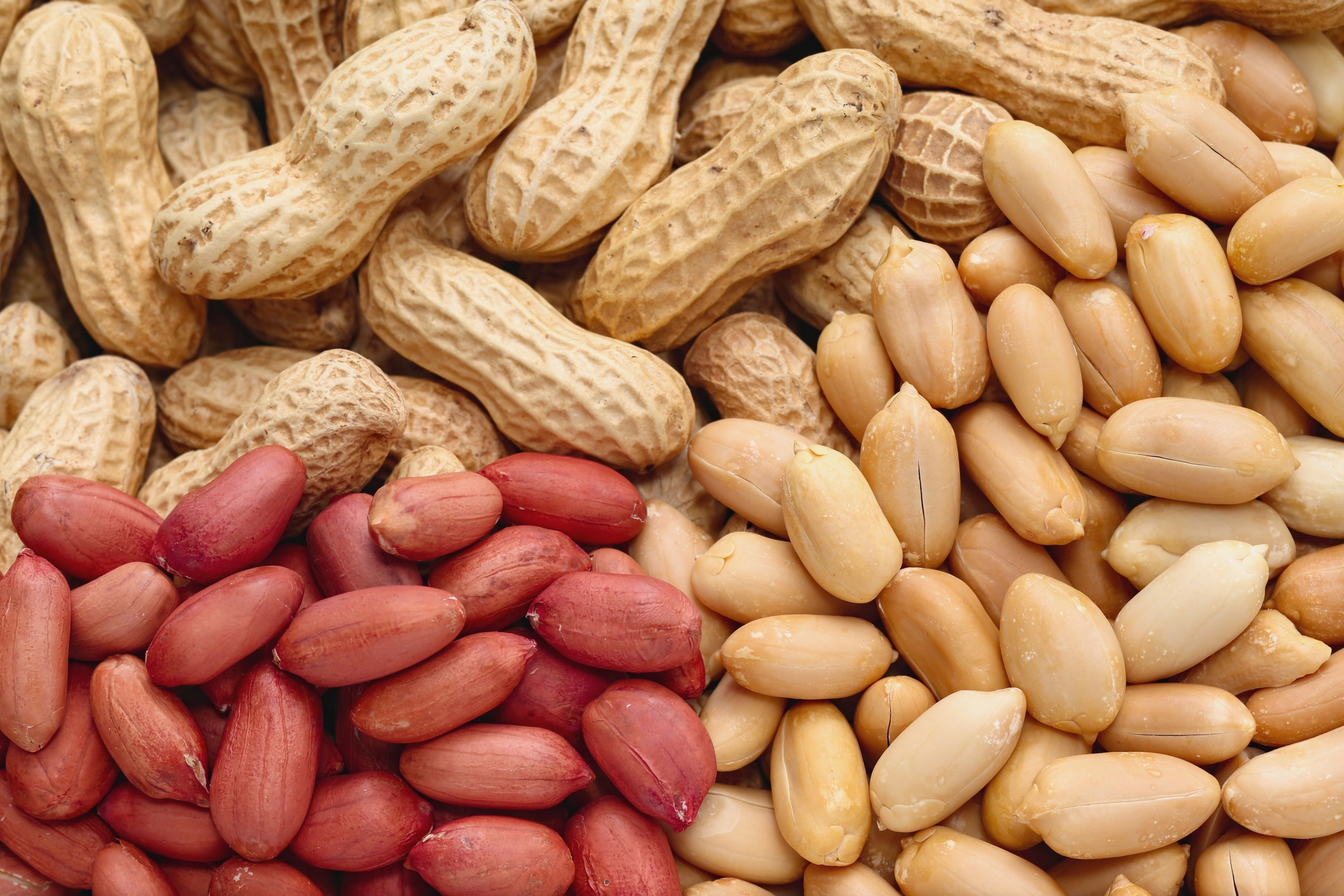 Indian Peanuts
