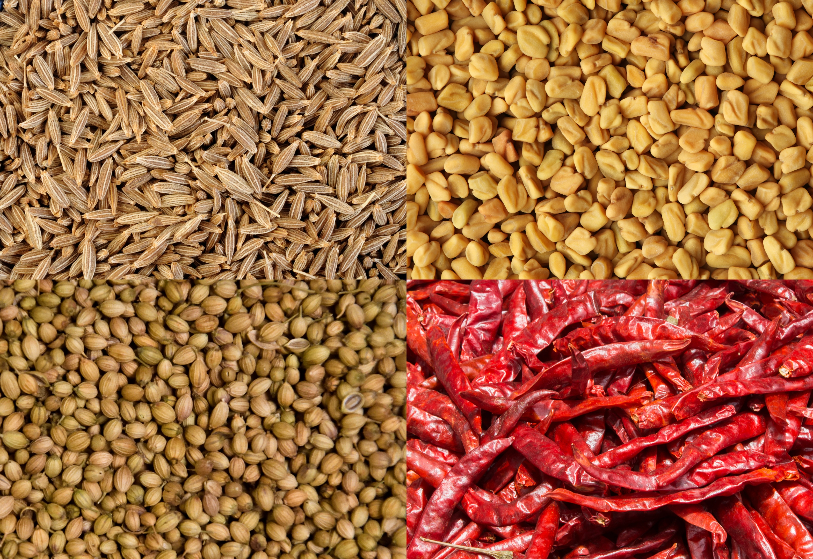Indian Spices