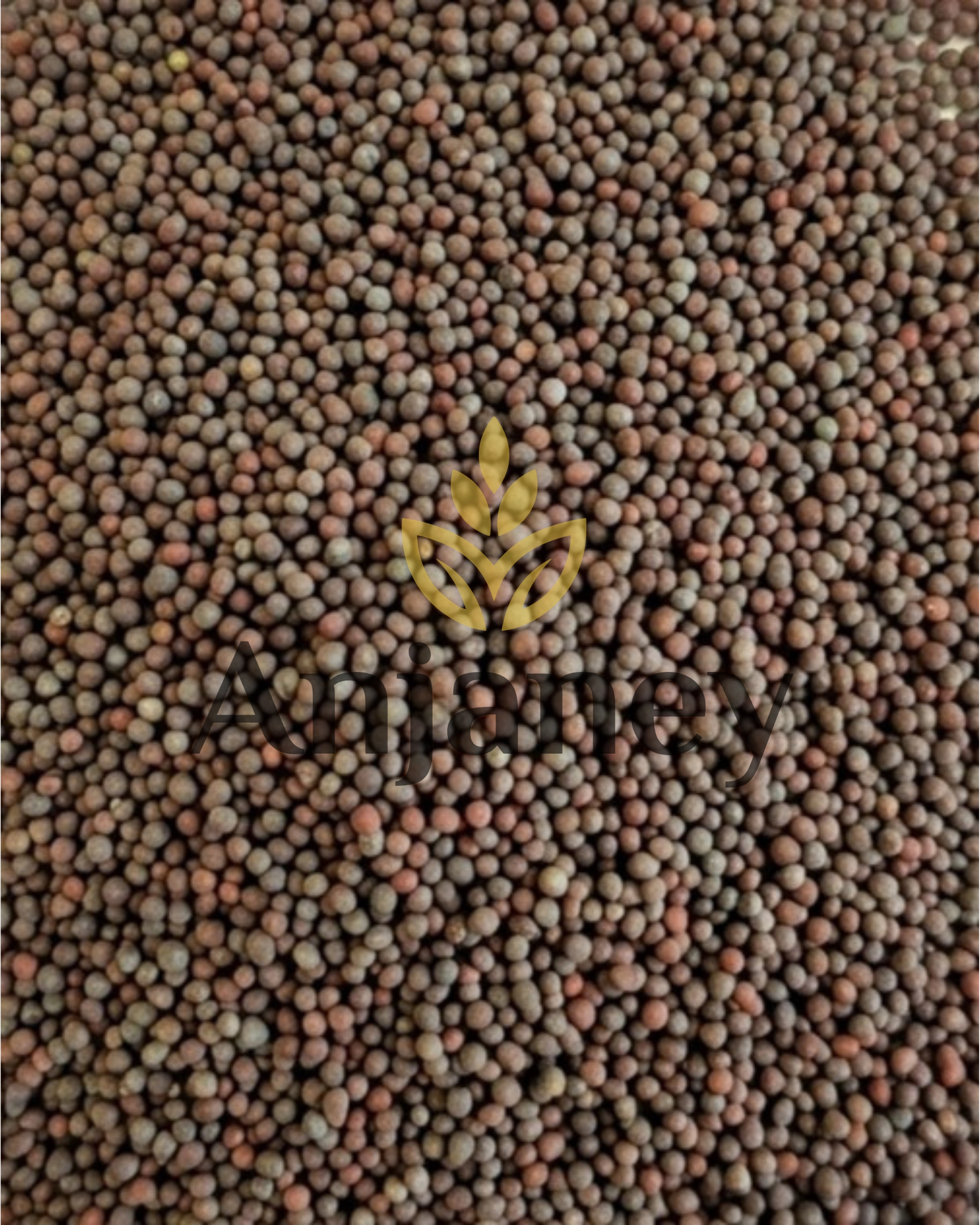 Mustard