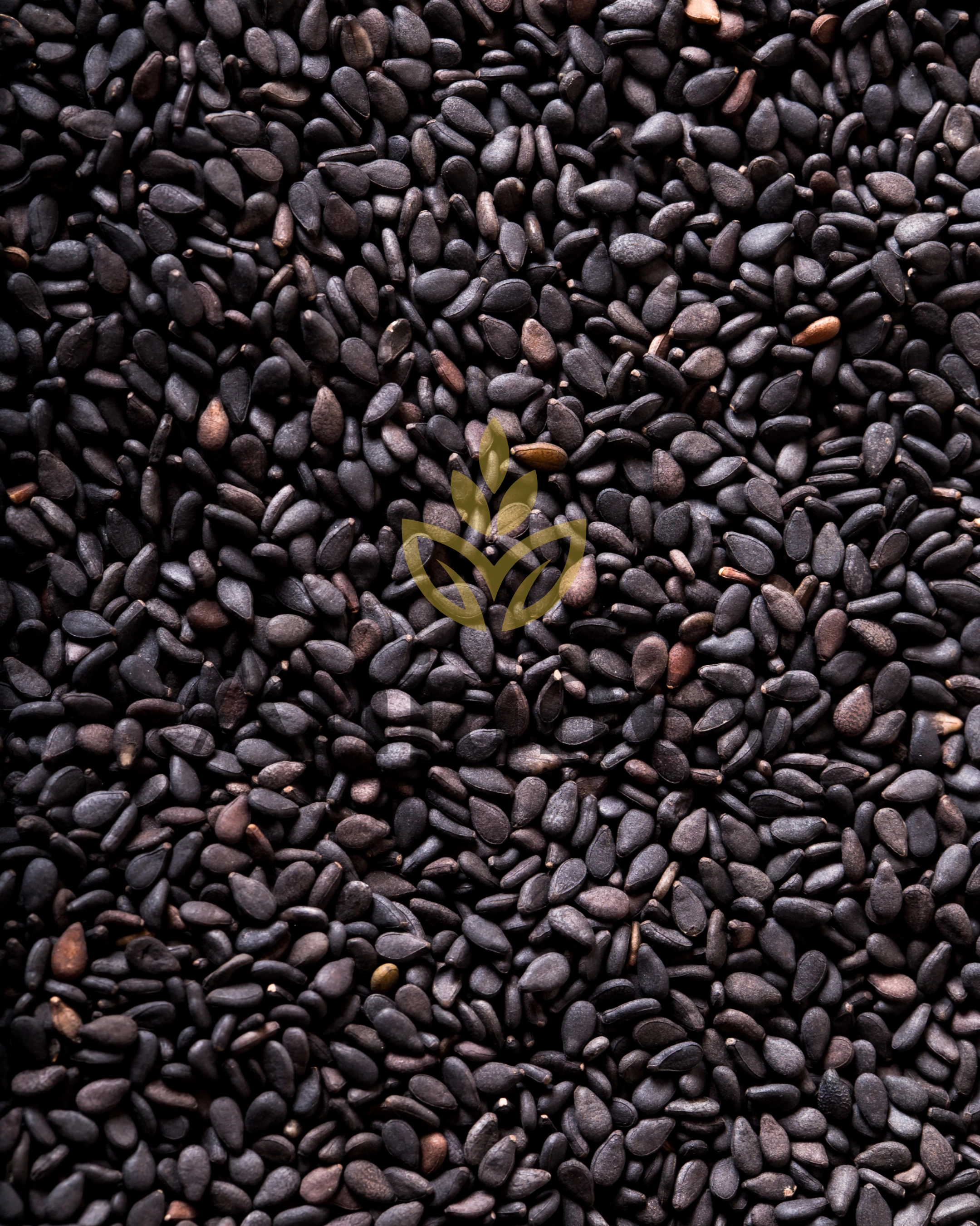 Black Sesame Seeds