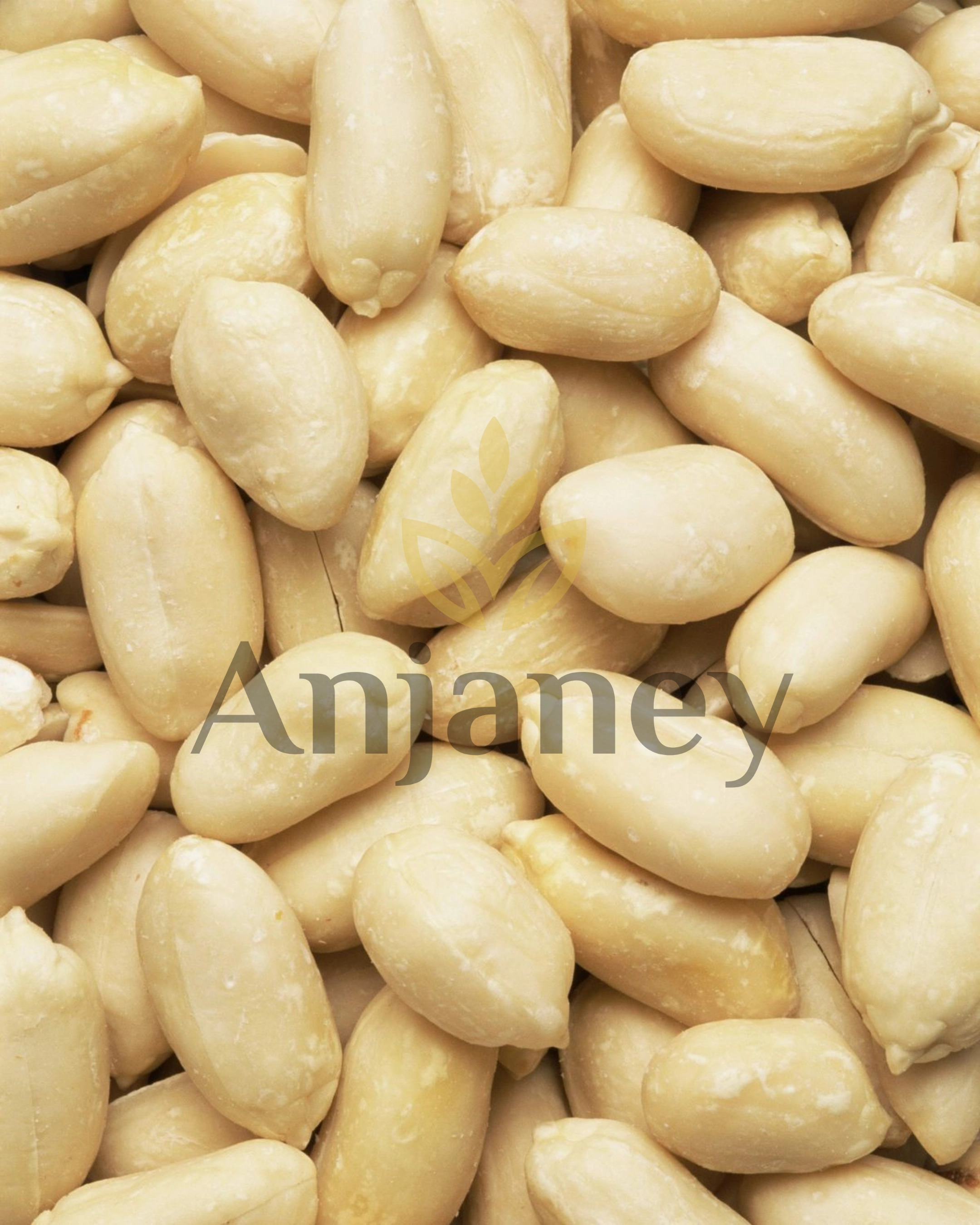 Blanched Peanuts