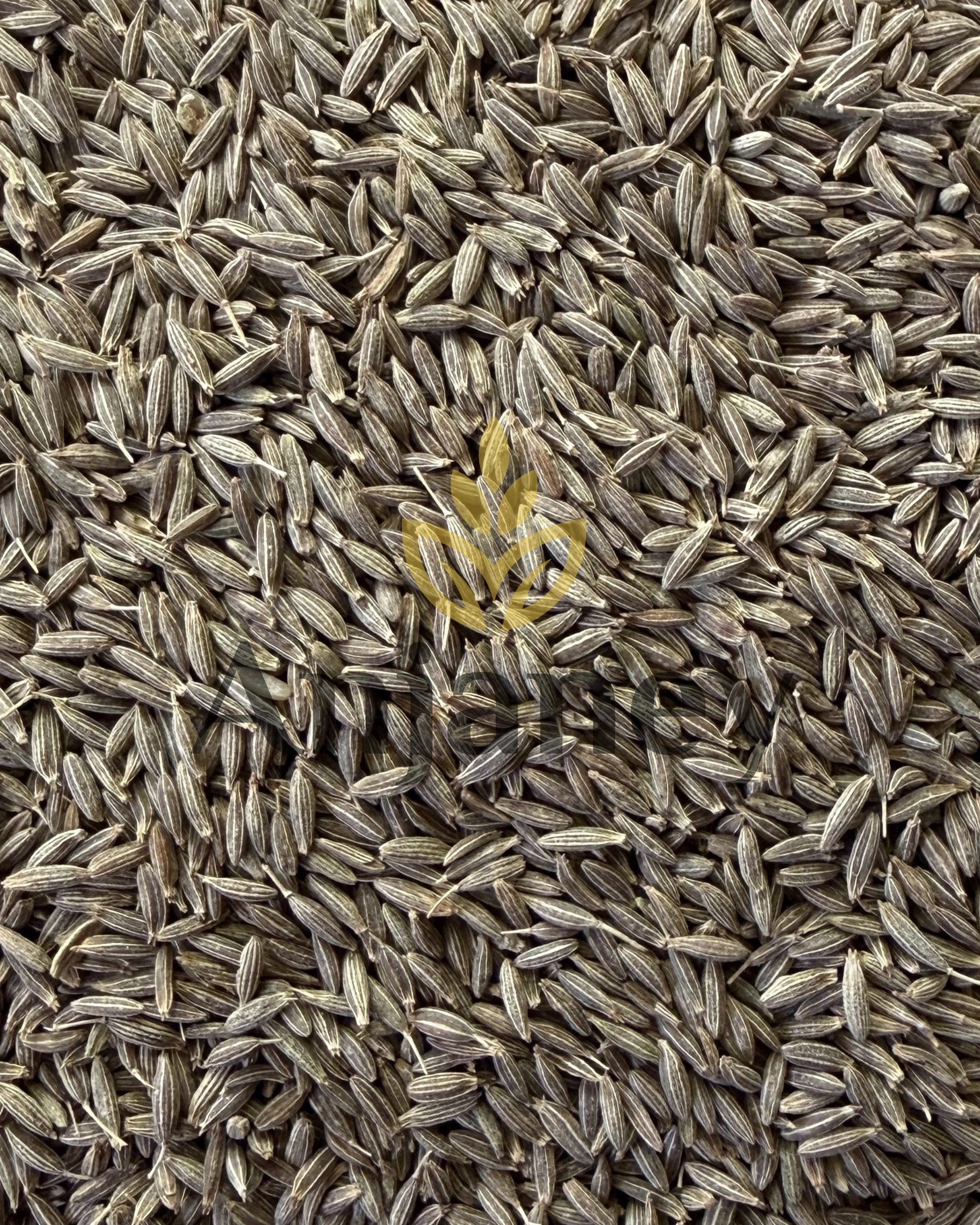 Cumin Seeds