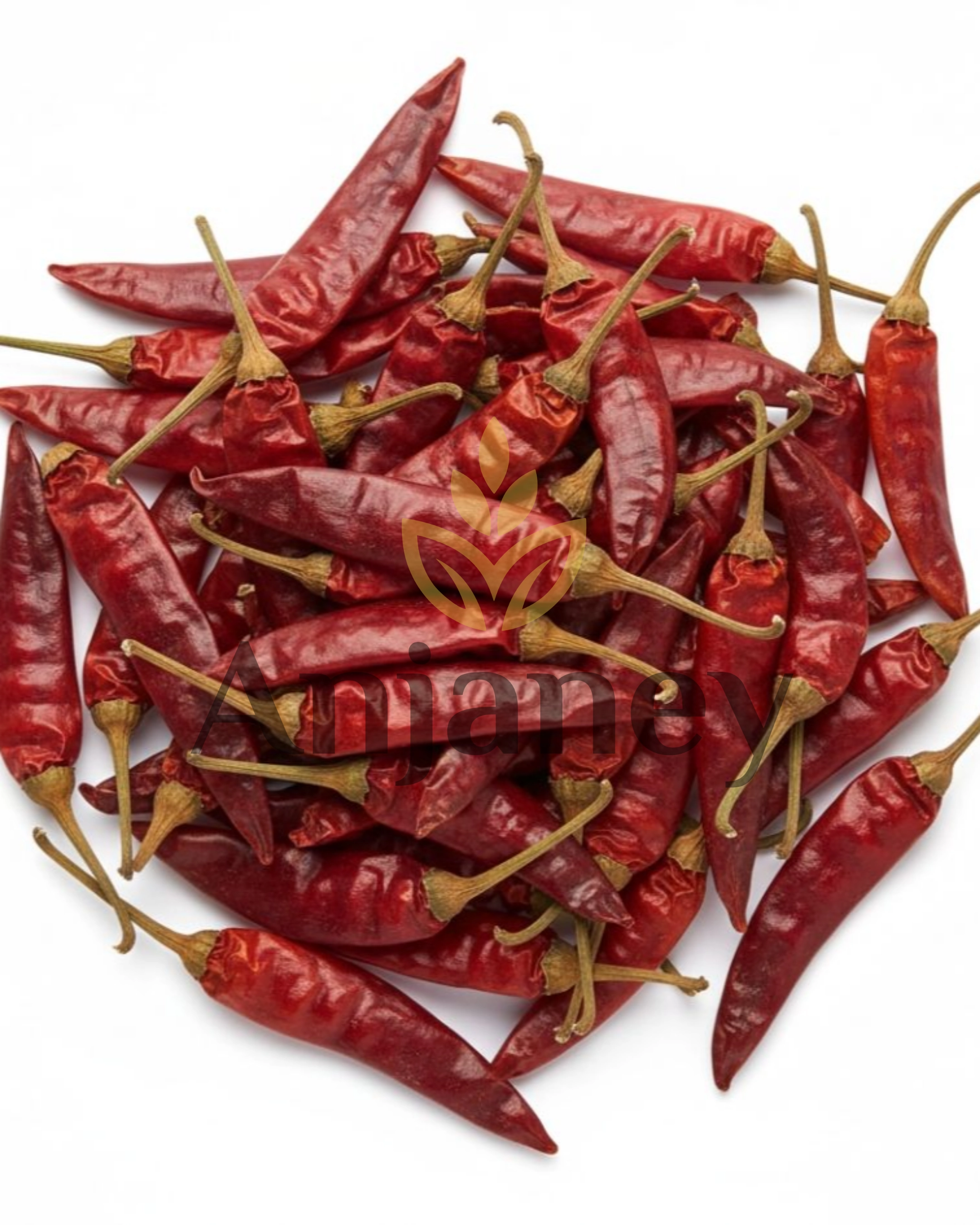 Dry Red Chilli