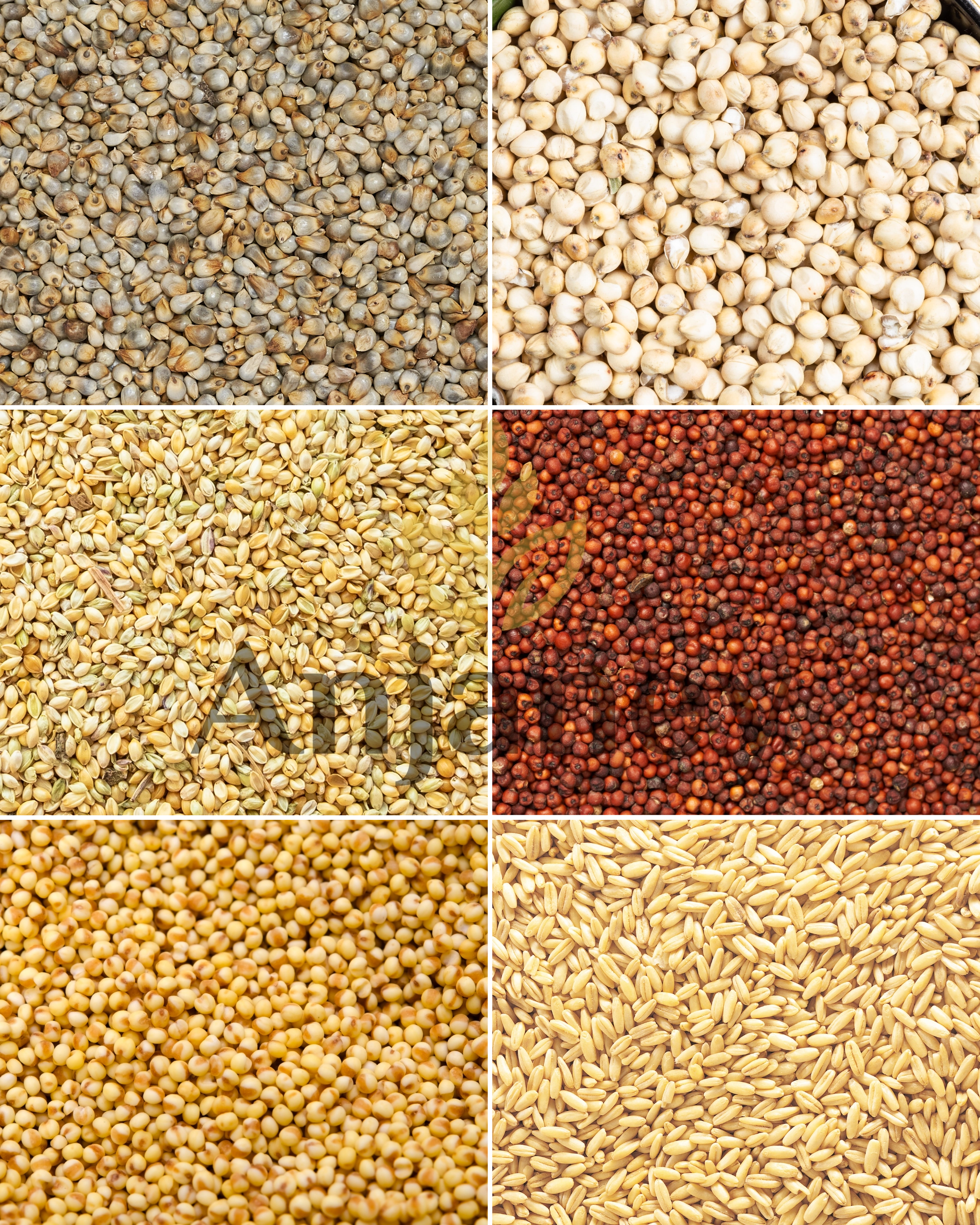Millets