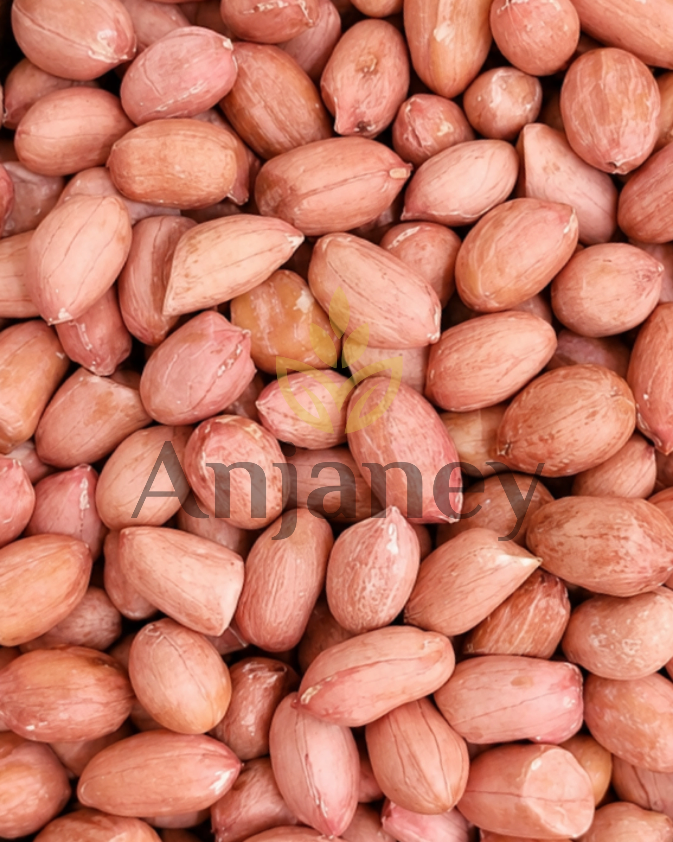 Bold Peanuts