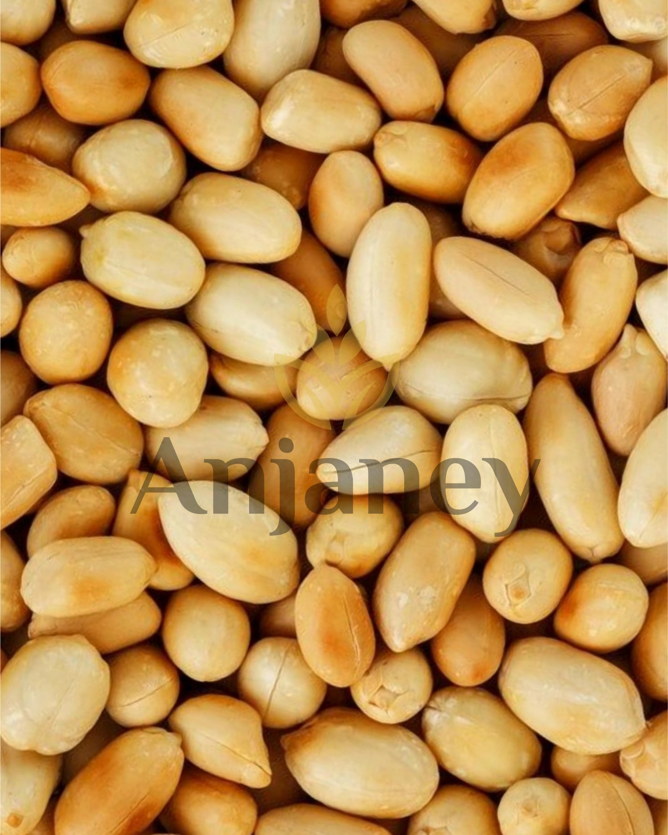 Roasted Peanuts