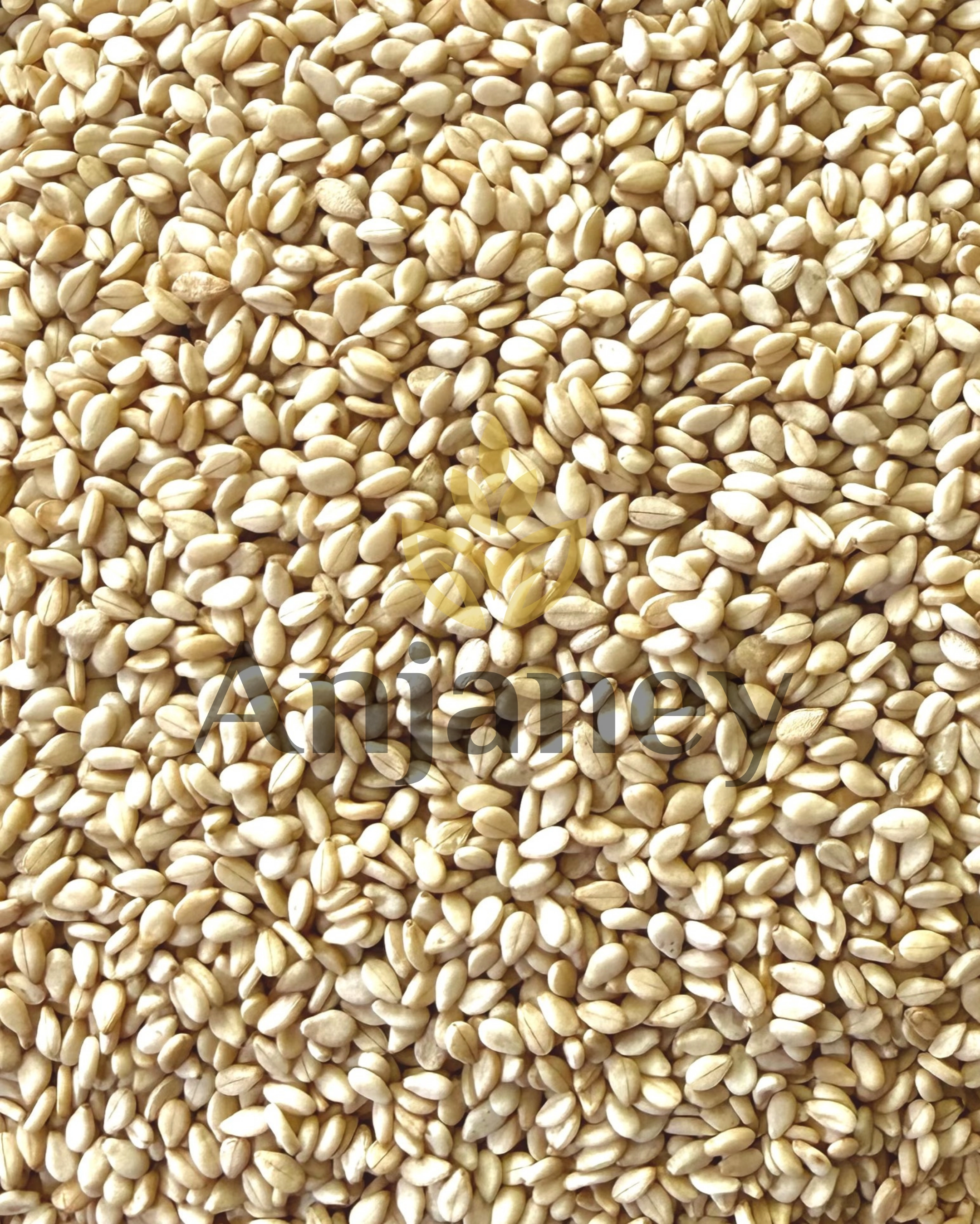 Natural Sesame Seeds